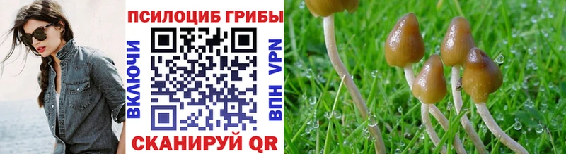OMG ссылки  где купить наркоту  Мытищи  Псилоцибиновые грибы прущие грибы 